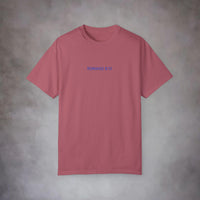 Romans 8:13 Garment-Dyed Tee