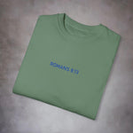 Romans 8:13 Garment-Dyed Tee