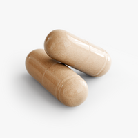 Holy Mushroom Blend 10 X