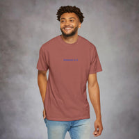 Romans 8:13 Garment-Dyed Tee