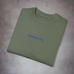 Romans 8:13 Garment-Dyed Tee