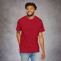 Romans 8:13 Garment-Dyed Tee