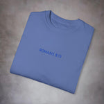Romans 8:13 Garment-Dyed Tee