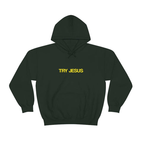 Try Jesus Unisex Heavy Blend™ Hooded Sweatshirt - Lord of Lords