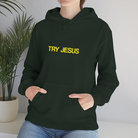 Try Jesus Unisex Heavy Blend™ Hooded Sweatshirt - Lord of Lords