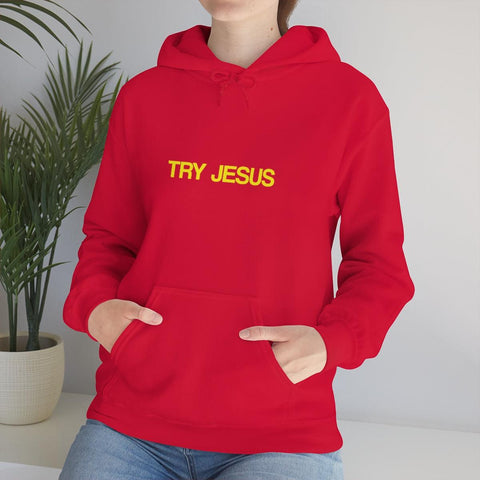 Try Jesus Unisex Heavy Blend™ Hooded Sweatshirt - Lord of Lords