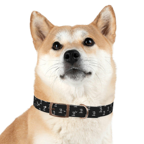 Lord of Lords Dog Collar - Lord of LordsPets