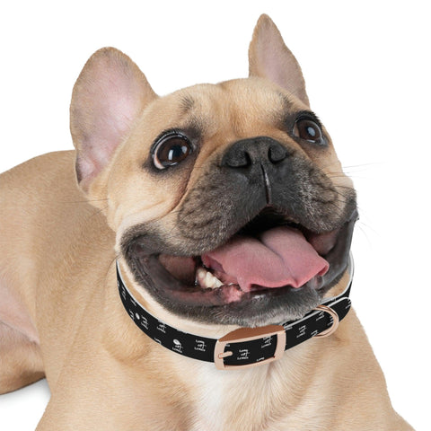 Lord of Lords Dog Collar - Lord of LordsPets