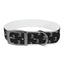 Lord of Lords Dog Collar - Lord of LordsPets