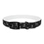 Lord of Lords Dog Collar - Lord of LordsPets