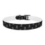 Lord of Lords Dog Collar - Lord of LordsPets