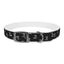 Lord of Lords Dog Collar - Lord of LordsPets