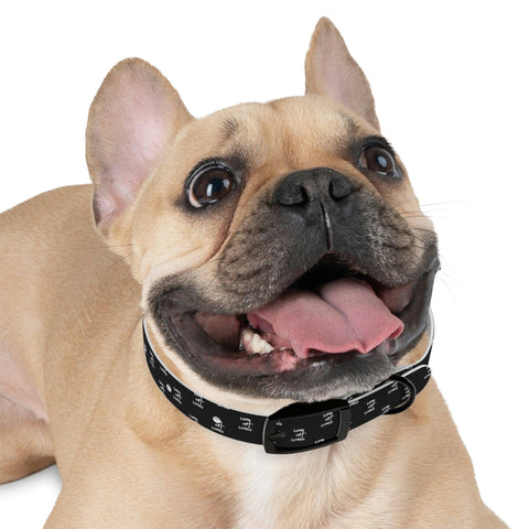 Lord of Lords Dog Collar - Lord of LordsPets