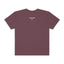 Proverbs 31 Garment-Dyed Tee - Lord of LordsT-Shirt
