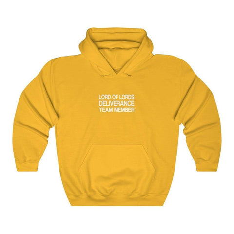 Unisex Deliverance Ministries Hoodie - Lord of LordsHoodie